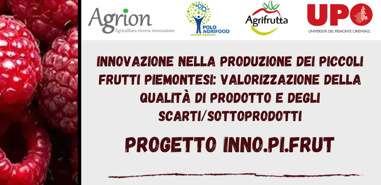 Innovazione nella produzione dei piccoli frutti piemontesi: valorizzazione della qualità di prodotto e degli scarti/sottoprodotti